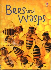 Image of Bees and wasps