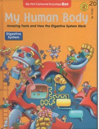 Image of My human body: amazing facts and how the digestive system work