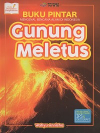 Image of Buku pintar mengenal bencana alam di indonesia: gunung meletus